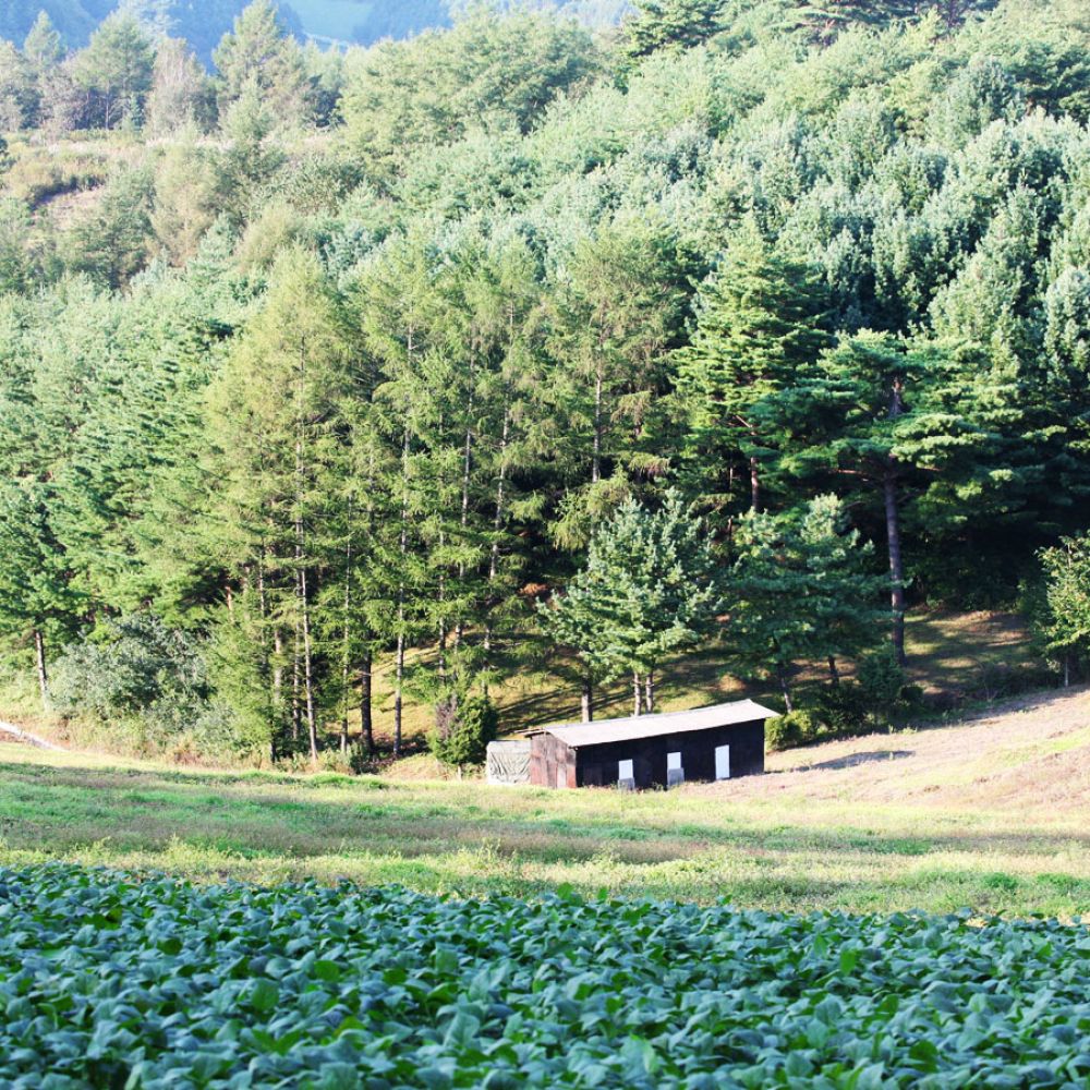 외부전경
